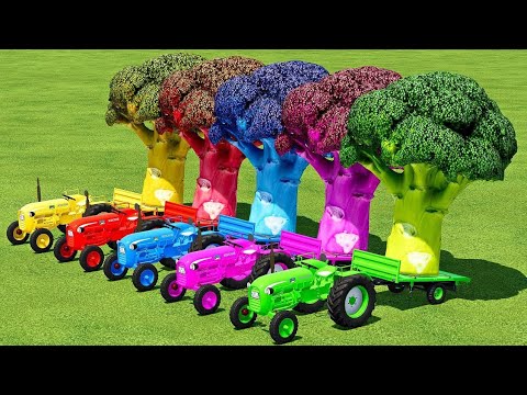 LOAD & TRANSPORT GIANT BROCCOLI WITH ZETOR MINI TRACTORS - Farming Simulator 22