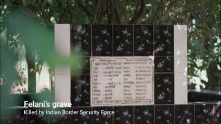জাতীয় নির্বাচন ২০২৬ (ফেলানী)