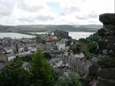 Morwyn Y Blodau
