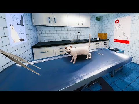 Cat Care at the Pet Hospital ( Animal Shelter Sim Game )