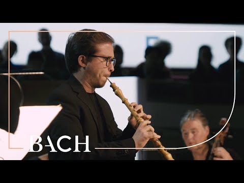 Oboe Concerto In D Minor - Johann Sebastian Bach