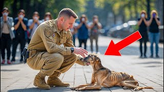 Soldier Finds His Retired K-9 Dog Starving on the Streets! What happens Next is Shocking