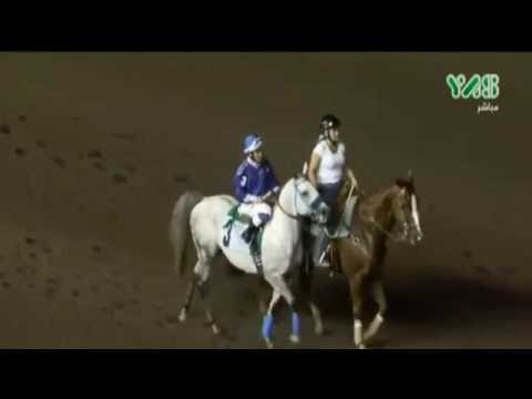 Sh. Zayed Bin Sultan Al Nahyan Cup - 18 September 2016 - Los Alamitos, CA