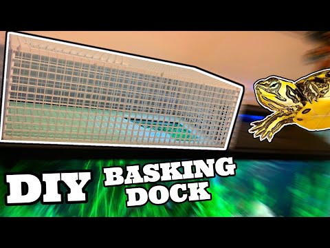 HOW TO Build DIY Above-Tank Basking Area for PET TURTLE
