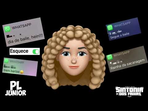 VOU VOLTAR A CURTIR O BAILE NO MORRO FUNK - MC TAIRON & MC VITIN [  DJ WIN ]