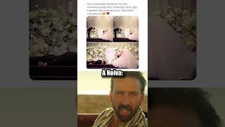 Casamento Koreano 😲 #comedyeffect