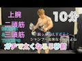 夏に向けて今年も腕を10分で太くする[Biceps & Triceps Workout]