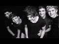 One Direction - Once In A Lifetime 