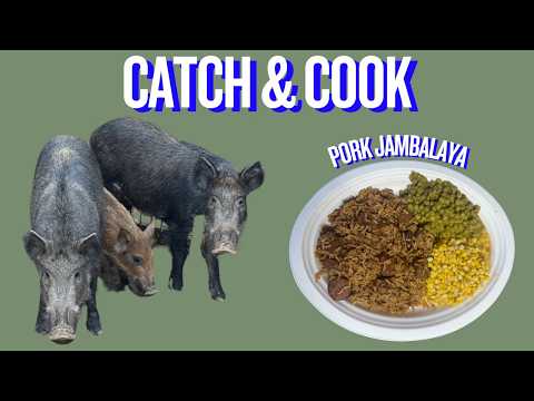 Trapping Wild Pigs In Louisiana (Catch*Cook) Pork Jambalaya , Sweet Corn & Sweet Peas