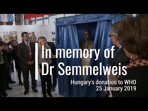 In memory of Dr Semmelweis
