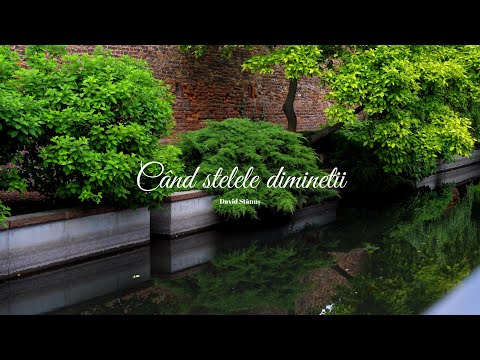 David Stănuș l Când stelele dimineții