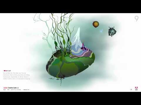 Adobe - Customer Success Story