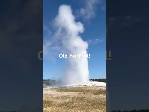 Yellowstone's Iconic Geyser Eruption! #yellowstonenationalpark #oldfaithful #shorts #travel