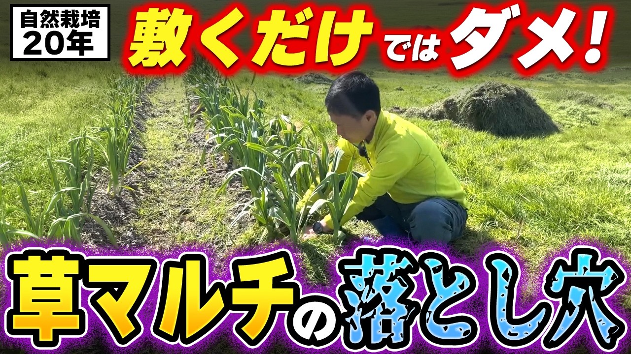 草マルチ敷くだけではダメ?効果を最大化する利点と注意点