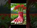 Islamic Gojol Video Pic Shorts Viralshorts Gojol