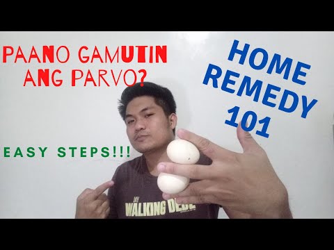 Paano gamutin ang Parvo? | Home Remedy for Parvo | How to treat Parvovirus? | D' Jem