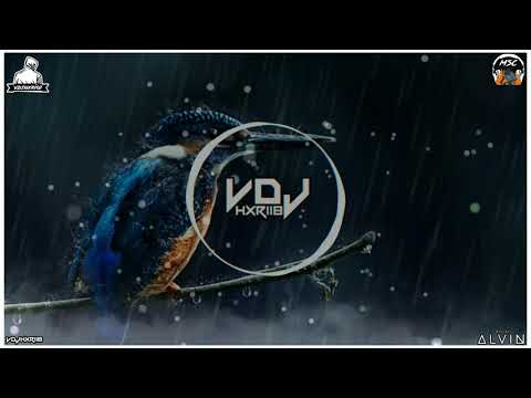 Malle Kuruvi Hervin Remix || DJ ALVIN MSC ||