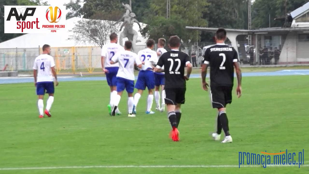 WIDEO: Stal Mielec - Wisła Płock 4-3 [BRAMKI]
