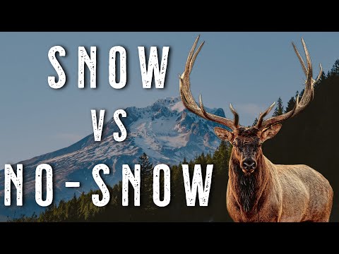 October Elk Hunting | Snow vs No Snow Elk Movement Patterns Explained