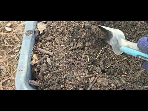 Kompost czyli jak powstaje u nas złoto ogrodnika.