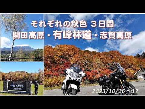 Outubro de 2023, 3 dias de cores de outono ~ Kaida Highlands, Arimine Forest Road, Shiga Highlands ~
