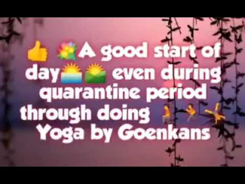 Online Yoga Classes