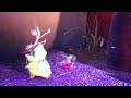 A Bug S Life 1998 Pixar Flea Circus AAAAH Fire ️ NO NO Walt Disney