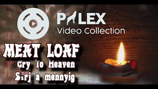 Meat Loaf - Cry To Heaven - magyar fordítás / lyrics by palex