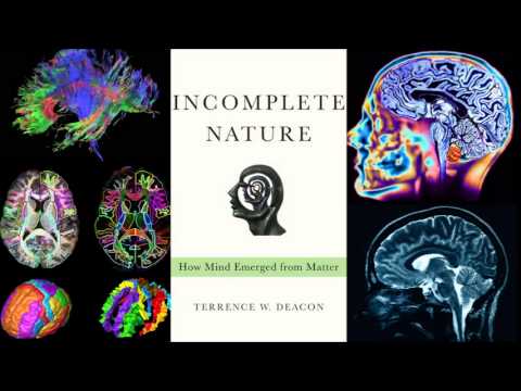 Incomplete Nature - How Mind Emerged from Matter