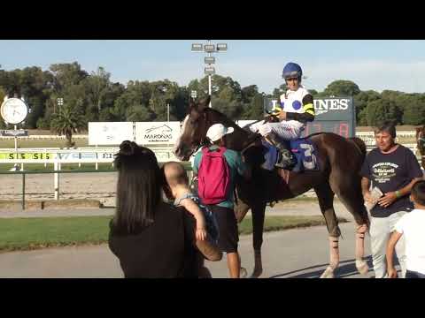 230121 c08 MASCHIO BELLO