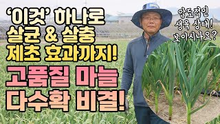 살균 살충 거기에 제초 효과까지! 효과만점 연작장해 토양소독 비결