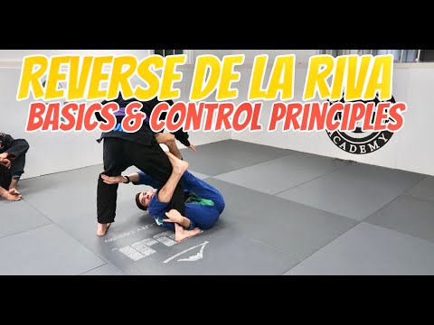 Reverse De La Riva Basics