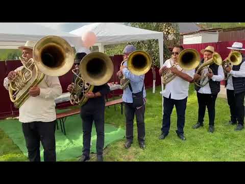 FANFARA DE LA VALEA MARE - LA PUSCASI MESERIE