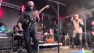 The Christians - Harvest for the World