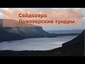 /ЗА/Сейдозеро, Ловозерские тундры 