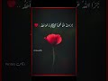 Darud Sharif Foryou Viralvideo Viralshorts Urdupoetry