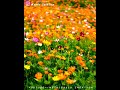 Thendral Vandhu Theendum Pothu Tamil Love WhatsApp Status Ilaiyaraja Status Soul Beats Raa3 Status