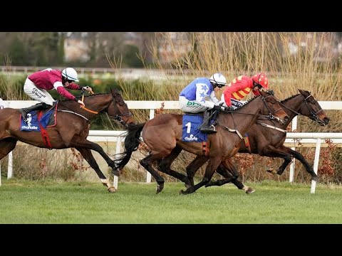 Klassical Dream - 2019 Leopardstown (Dublin Festival) G1 Novice Hurdle (Build Up, Race & Reaction)