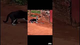 Download lagu _moneylove(720P_HD) mp3