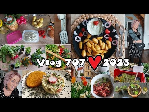 Vlog 707/23 - ve svém živlu