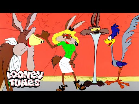 20 Minutes Of Wile E. Coyote Being A Hot Mess | Looney Tunes | @GenerationWB