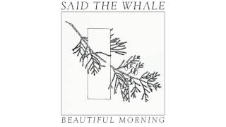 Said The Whale - "Beautiful Morning" (official audio)