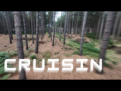 DJI FPV Cinematic drone race through the woods while camping in Michigan