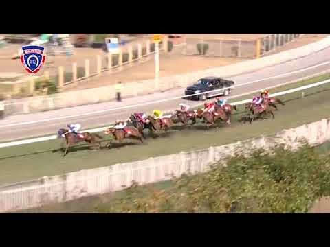 SEA KING - Cedric Segeon at his best