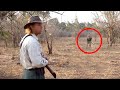 6 Lion Encounters That Will Give You Chills Part 4