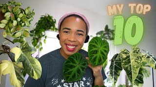 2024’s BEST HOUSEPLANTS || My top 10 🙌🏽