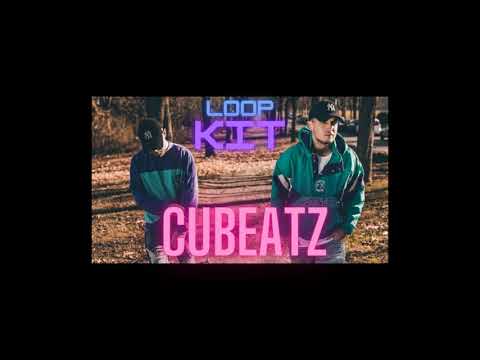 [FREE] Loop kit (Pvlace, Cubeatz, Frank Dukes Type Loops)