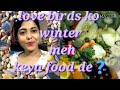 Love Birds Ko Winter Meh Keya Foods Dena Chahea Hindi