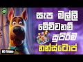 2025 Sha Fm Sindu Kamare Nonstop 2025 Sinhala Nonstop Sinhala Live Nonstop Sindu Pisso Remix