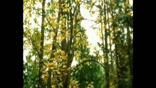 Diana Krall   Almost Blue